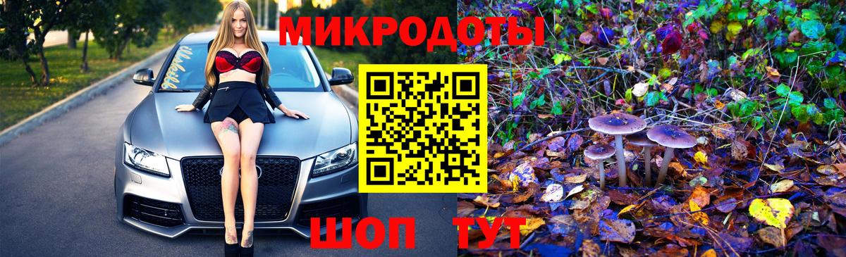 Галлюциногенные грибы Cubensis  Вход с VPN  Тавда 